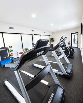 Gym with treadmills and exercise machines